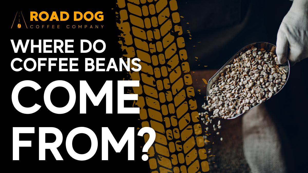 Where Does Coffee Come From? The Origins of Coffee Beans – Road Dog ...